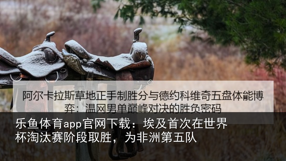 乐鱼体育app官网下载:埃及相关情况赛阶相关情况队
