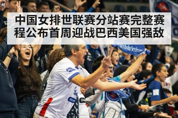 volleyball stadium crowd